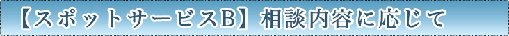 【スポットサービスB】相談内容に応じて